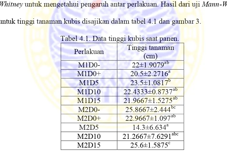 Tabel 4.1. Data tinggi kubis saat panen. 