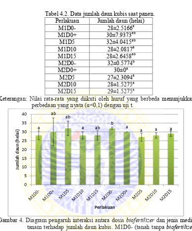 Gambar 4. Diagram pengaruh interaksi antara dosis biofertilizer dan jenis media tanam terhadap jumlah daun kubis