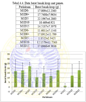 Gambar 6. Diagram interaksi antara dosis  biofertilizer dan jenis media tanam terhadap berat basah krop