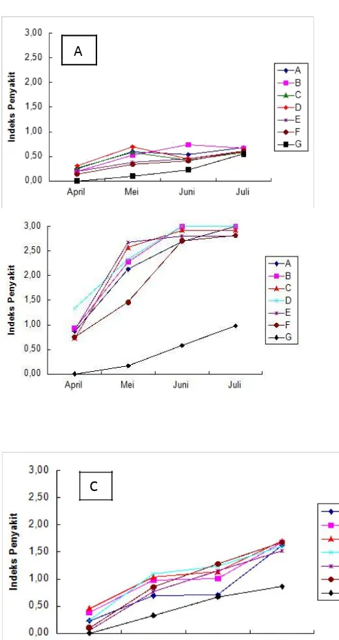 Gambar 1. Grafik perkembangan indeks keparahan penyakit busuk batang (A), kudis/stem canker (B) dan antraknos (C) pada 7 jenis/klon tanaman buah naga selama 4 bulan 