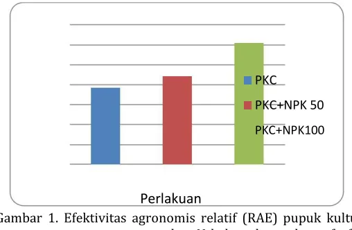 Gambar 1. Efektivitas agronomis relatif (RAE) pupuk kultur 