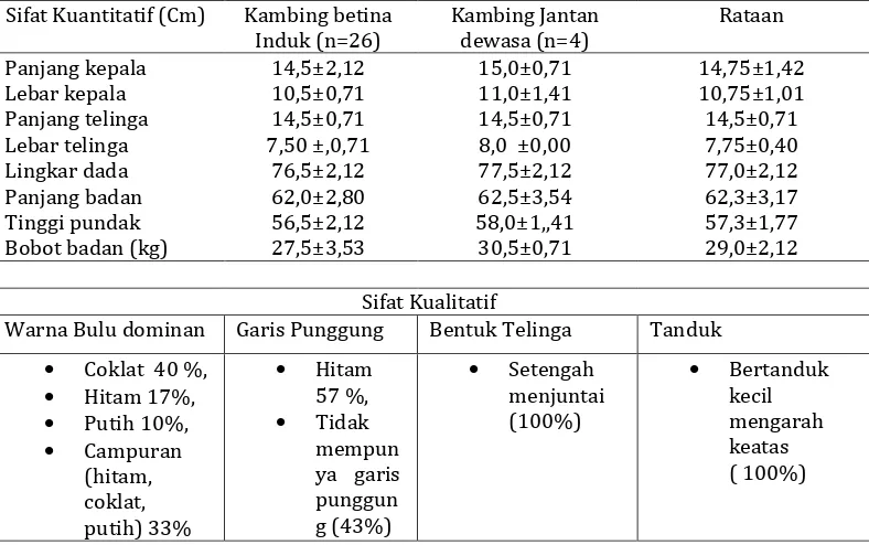 Tabel 1. Keragaan fenotipik ternak kambing kelompok tani Cahaya Purnama Desa Tembeling 