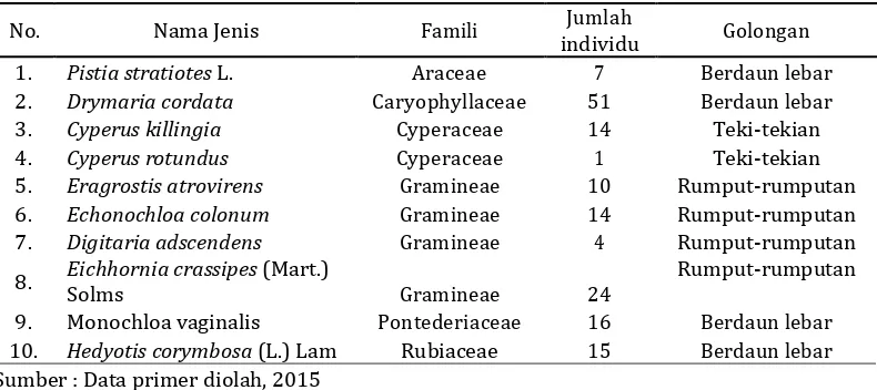 Tabel 1. Hasil identifikasi gulma pada pertanaman padi sawah di Desa Kota Pagu Kecamatan Bermani Ulu Raya Kabupaten Rejang Lebong Provinsi Bengkulu pada tahun 2015