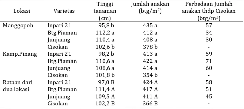 Tabel 2. Tinggi tanaman dan jumlah anakan VUB padi sawah di Manggopoh dan Kampung Pinang, Lubuk Basung, Kabupaten Agam, TA