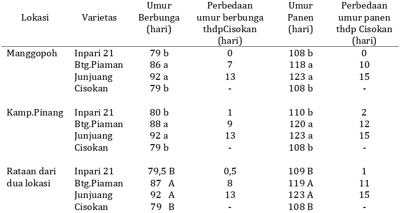 Tabel 4. Komponen hasil uji VUB padi sawah di Manggopoh dan Kampung Pinang,  Lubuk Basung, Kabupaten Agam, TA