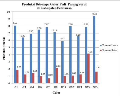 Gambar 1. Grafik produksi beberapa galur padi pasang surut di Kabupaten Pelalawan.  