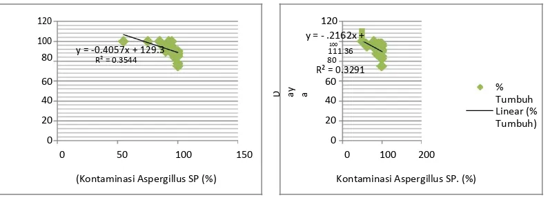 Gambar 6b. Grafik hubungan antara kontaminasi jamur Aspergillus sp. dengan daya tumbuh/kecambah benih kacang tanah suhu dingin 