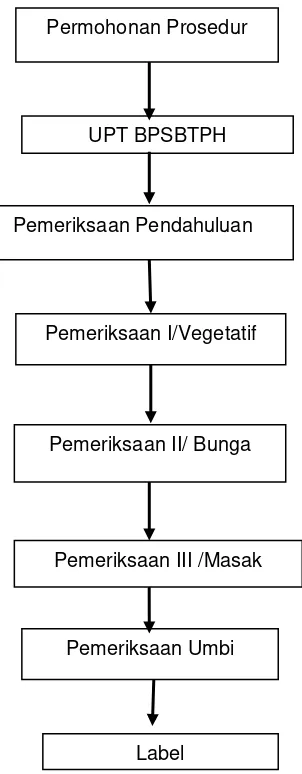 Gambar 4. Proses Sertifikasi Benih Kentang di Jawa Timur 