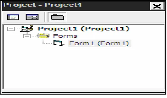 Gambar 2.9. Tampilan Jendela  Project 