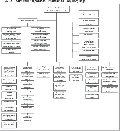 Gambar 3.1 Struktur Organisasi Puskesmas 