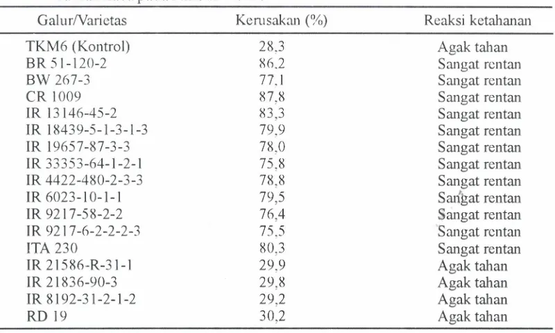 Tabel 1. Reaksiketahananbeberapagalur harapanterhadaphama putih palsu dirumah kaca pada MH