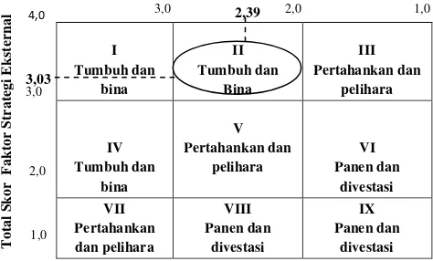Figure 1 Internal and External Matrix 