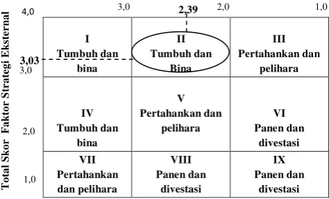 Figure 1 Internal and External Matrix 