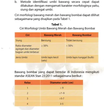 Tabel 1.Ciri Morfologi Umbi Bawang Merah dan Bawang Bombai