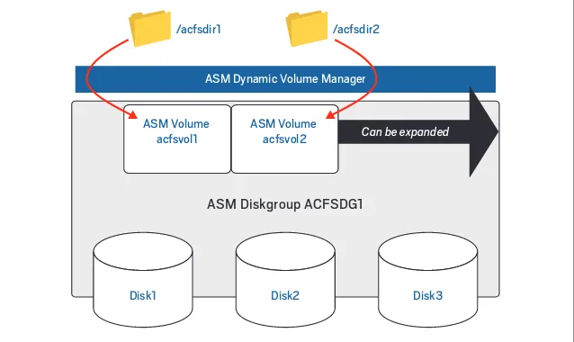 Figure 1: Components of an Oracle Automatic Storage Management Cluster File System
