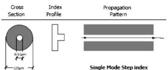 Gambar 2.3. Perambatan Gelombang pada Singlemode Step Indeks 