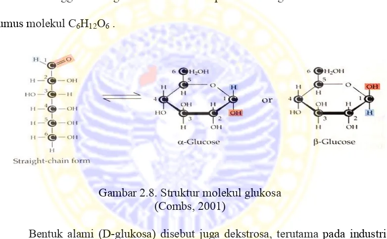 Gambar 2.8. Struktur molekul glukosa 