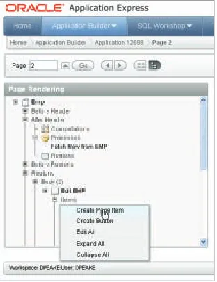 Figure 1: Creating a page item