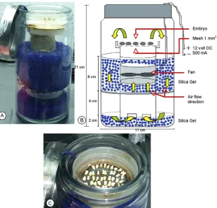 Fig. 1. Original apparatus designed for rapid dehydration: (A) the rapid dehydration apparatus and (B) details of the air ﬂow created by the fan; (C) embryos underdehydration treatment.