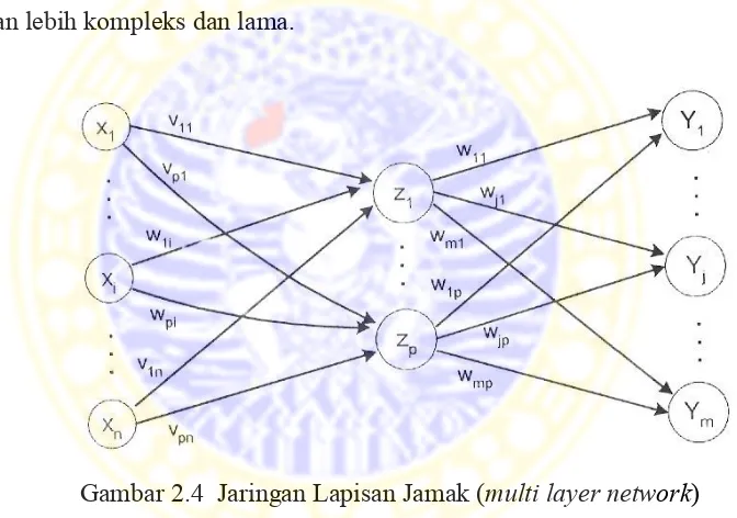 Gambar 2.4 adalah gambaran dari jaringan multi layer network dengan n 