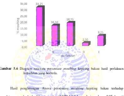 Gambar 5.6 Diagram rata-rata persentase moulting kepiting bakau hasil perlakuan 