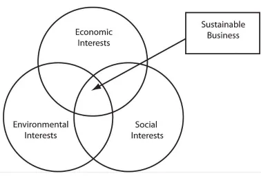 Figure 2.1 Sustainable Business