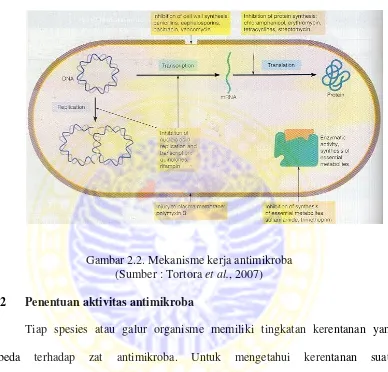 Gambar 2.2. Mekanisme kerja antimikroba