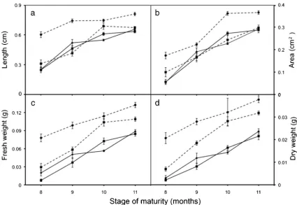 Figure 2. Changes in embryo attributes measured at four maturity stagesand for four cultivars: NYD (), TTD (), TKT (), and BAT()