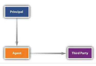 Figure 9.1 Agency Relationships