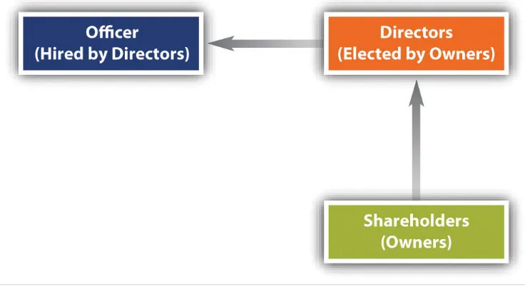 Figure 2.1 Corporate Legal Structure