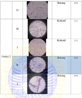 Tabel 3d. Karakteristik mikroskopik isolat bakteri heterotropik untuk sampel hari 