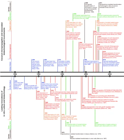 Fig. 1 Chronology of research in coconut micropropagation and biotechnological interventions in parallel with other plant examples