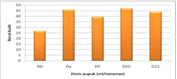 Gambar 14. Diagram pengaruh dosis pupuk hayati (biofertilizer) 