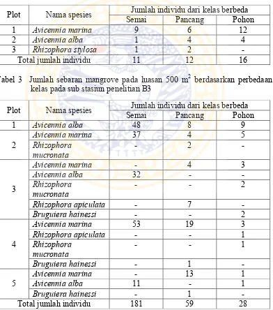 Tabel 1  Jumlah sebaran mangrove pada luasan 200 m2 berdasarkan perbedaan kelas pada sub stasiun penelitian A1 