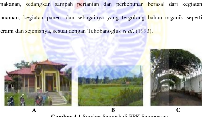 Gambar 4.1 Sumber Sampah di PPK Sampoerna(A: Institusi, B: Pertanian dan Perkebunan, C: Sapuan Jalan)(Sumber: Dokumentasi Pribadi, 2013)