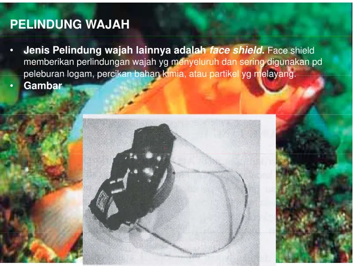 Gambar OLEHOLEH