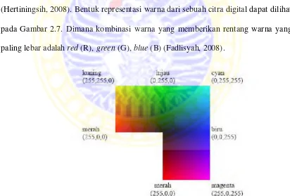 Gambar 2.7 Representasi warna digital (Hertiningsih, 2008) 