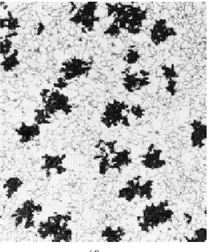 Gambar 32. Gambar struktur mikro besi  cor tempa menggunakan mikroskop optik  dengan perbesaran 150X 