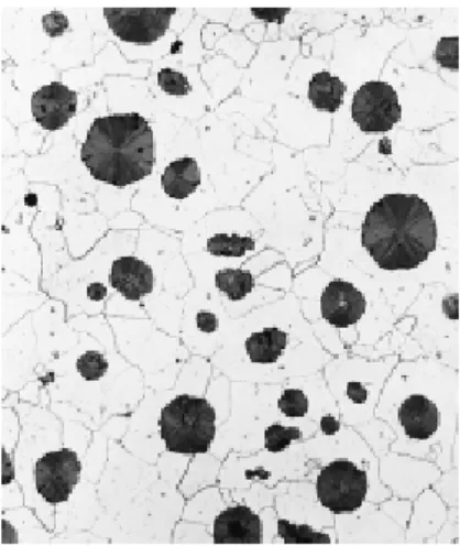 Gambar 30. Gambar struktur mikro besi cor  ulet menggunakan mikroskop optik  dengan perbesaran 200X 