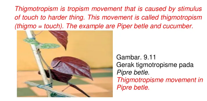 Gambar. 9.11  