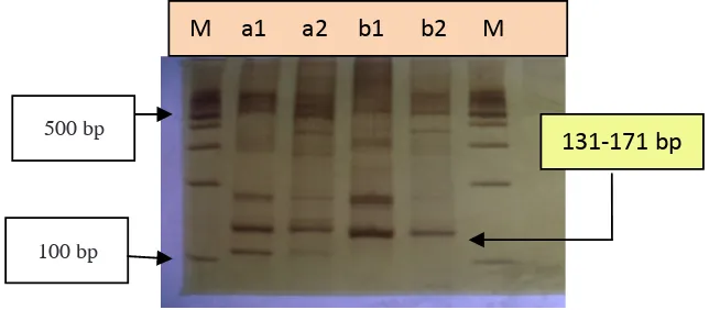 tabel 1. Kadar DNA sampel darah dan bitemark