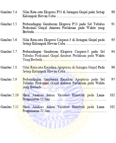 Gambar 5.4 Nilai Rata-rata Ekspresi P53 di Jaringan Ginjal pada Setiap 