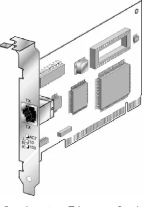 Gambar 1.   Ethernet Card
