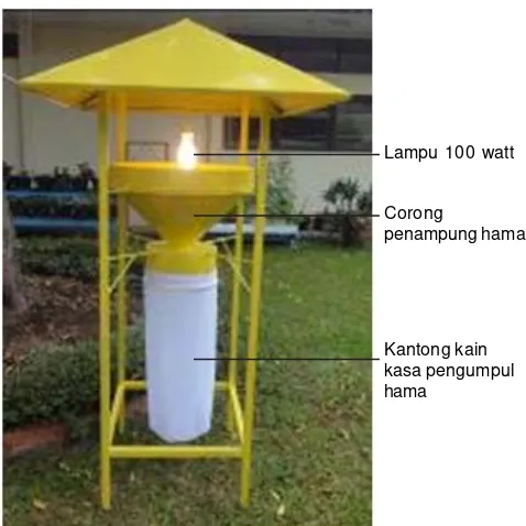 Tabel 1. Hasil tangkapan lampu perangkap di Sukamandi. BB Padi,2009-2012*.