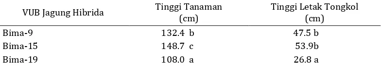 Tabel 3. Keragaan tinggi tanaman (cm) dan tinggi letak tongkol (cm) tigaVUB jagung hibrida