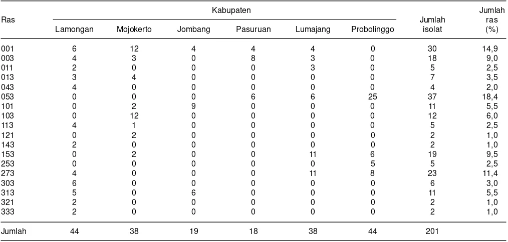 Tabel 3. Komposisi dan sebaran ras jamur Pyricularia grisea di beberapa kabupaten di Jawa Timur, MT 2013.