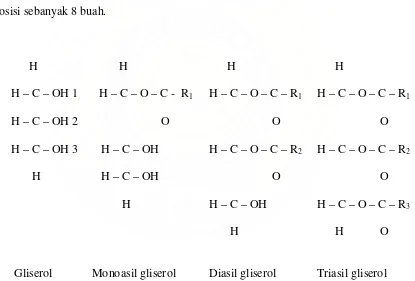 Gambar.2.Gliserida; monoasil, diasil, dan triasil gliserol 
