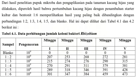 Tabel 4.2. Data Perhitungan jumlah total koloni Rhizobium 