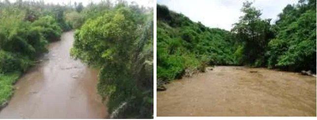 Gambar 4. Kondisi Kekeruhan Sungai di Tukad Petanu 