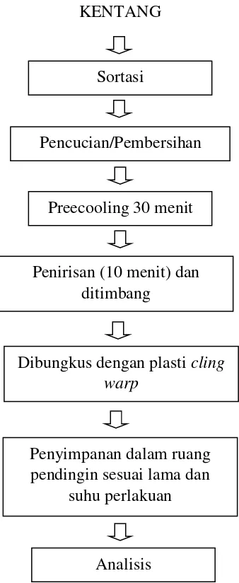 Gambar 1. Diagram Alir Pelaksanaan Penelitian Penyimpanan Kentang Pada Suhu Rendah 